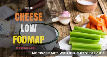 Exploring the Low FODMAP Diet: Is Blue Cheese a Suitable Choice?