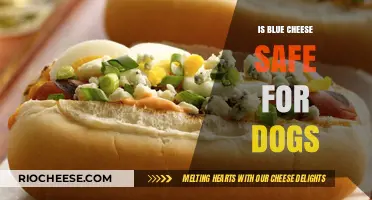 Can Dogs Eat Blue Cheese? A Comprehensive Guide for Pet Owners