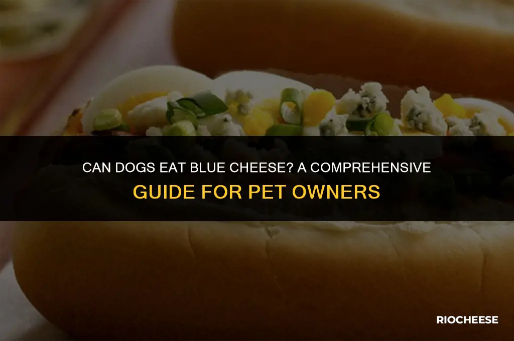 is blue cheese safe for dogs