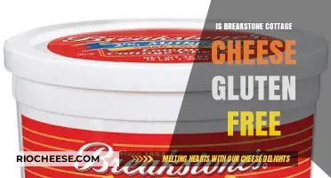 Exploring Gluten-Free Options: Is Breakstone Cottage Cheese Safe for Celiacs?