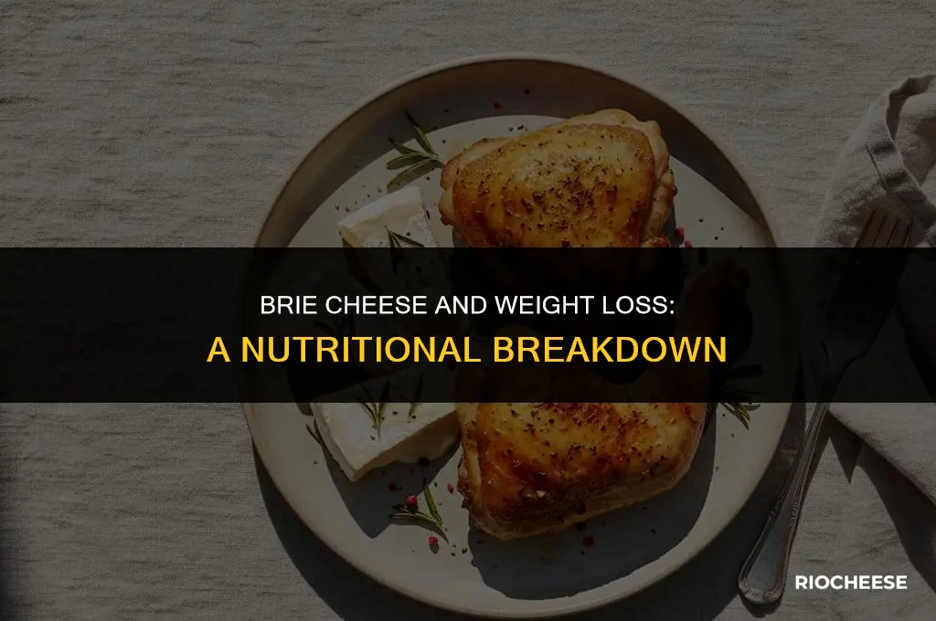 is brie cheese healthy for weight loss