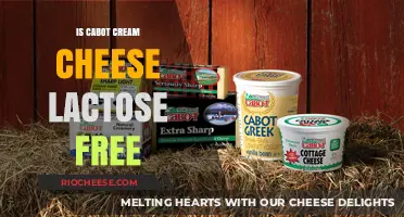 Lactose-Free Delight: Cabot Cream Cheese for Sensitive Stomachs