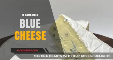 Unveiling the Mystery: Is Cambozola Truly a Blue Cheese?