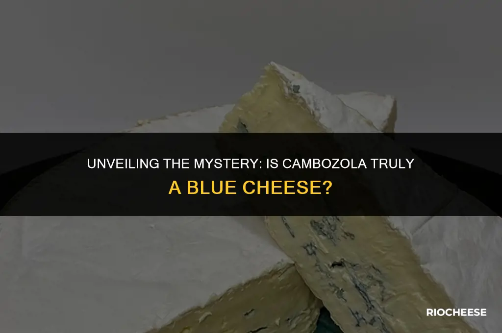 is cambozola blue cheese