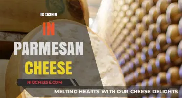 Unraveling the Mystery: Does Parmesan Cheese Contain Casein?