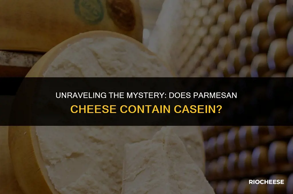 is casein in parmesan cheese