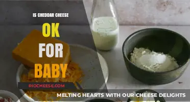 Nutritional Guide: Is Cheddar Cheese Safe for Babies?