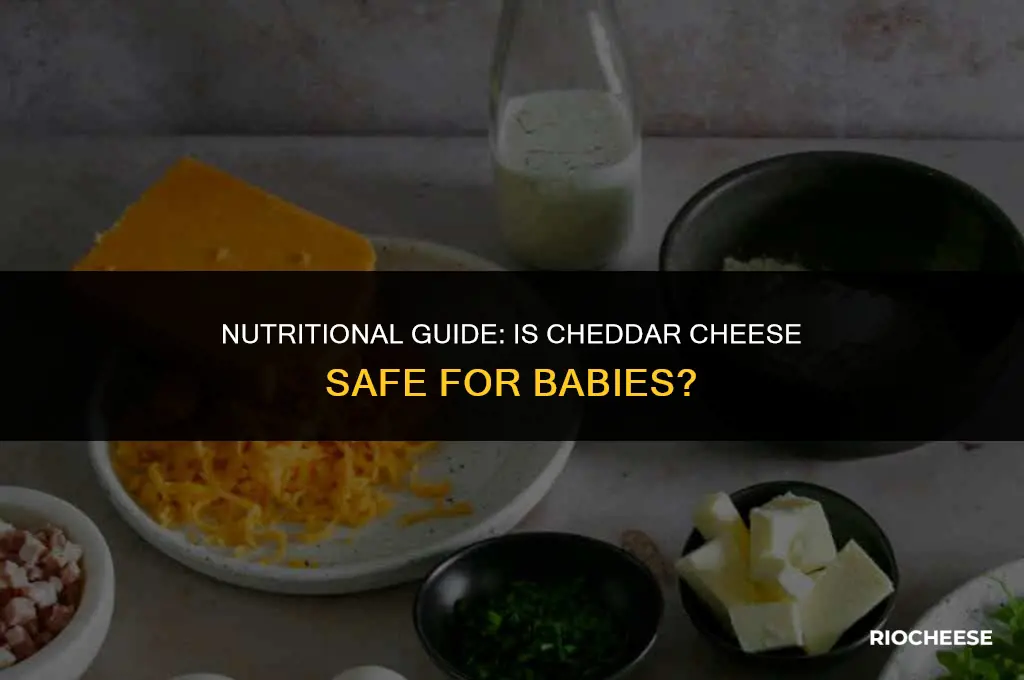 is cheddar cheese ok for baby