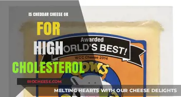 Balancing Flavor and Health: Cheddar Cheese's Place in a High-Cholesterol Diet