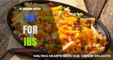 Navigating IBS Dietary Restrictions: Is Cheddar Cheese a Safe Choice?