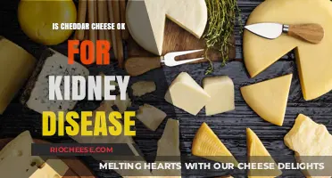 Navigating Dairy with Kidney Disease: Is Cheddar Cheese Safe?