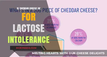 Navigating Lactose Intolerance: Can You Still Enjoy Cheddar Cheese?