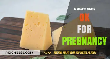 Cheddar Cheese Consumption During Pregnancy: What You Need to Know