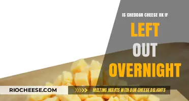 Cheddar Cheese Conundrum: Safe to Leave Out Overnight?