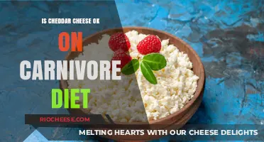 Cheddar Cheese on Carnivore Diet: A Nutritional Analysis