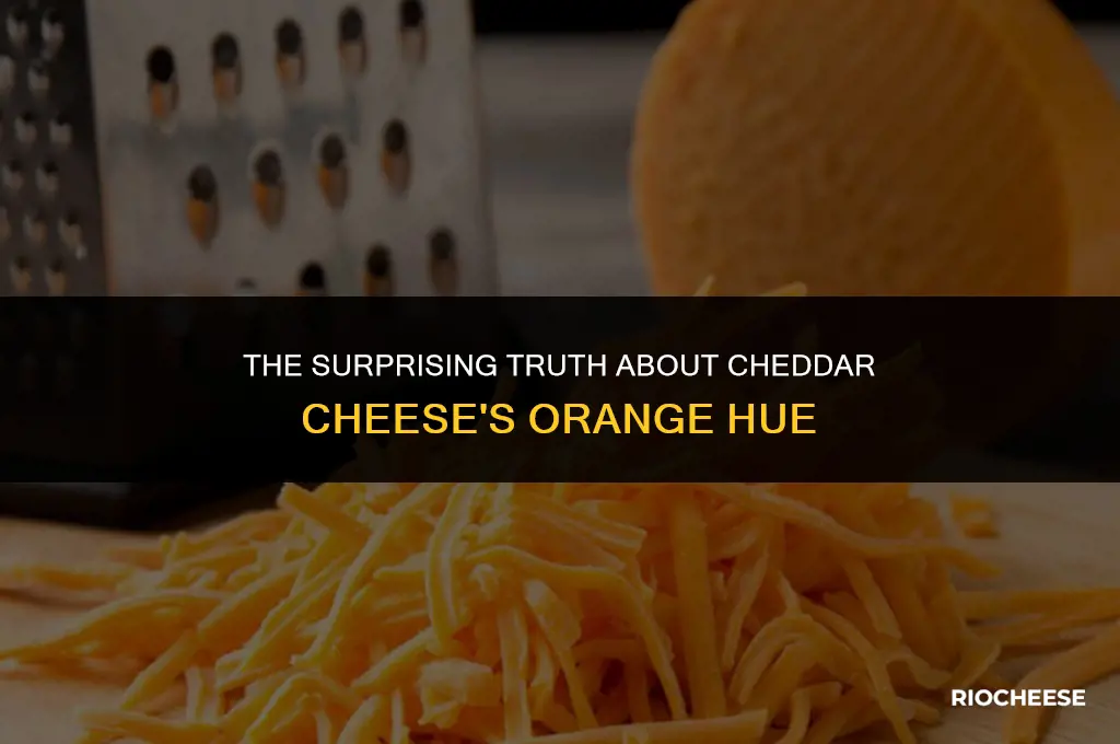 is cheddar cheese orange