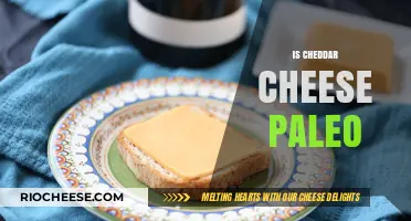 Exploring the Paleo Diet: Is Cheddar Cheese a Fit?