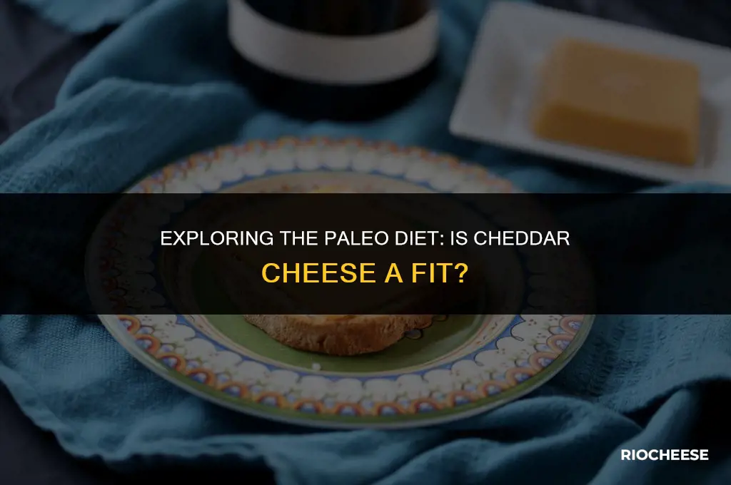 is cheddar cheese paleo