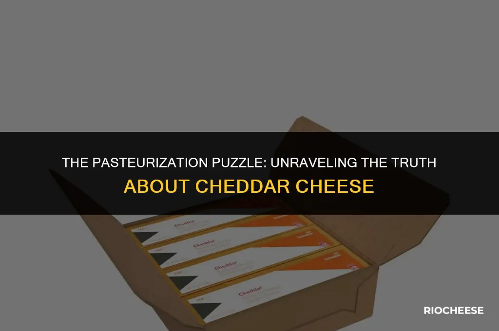 is cheddar cheese pasturized