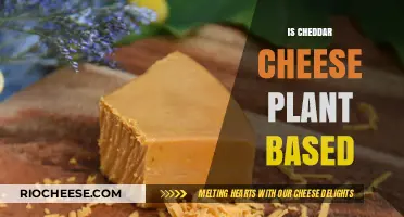 Exploring the Origins: Is Cheddar Cheese Plant-Based?