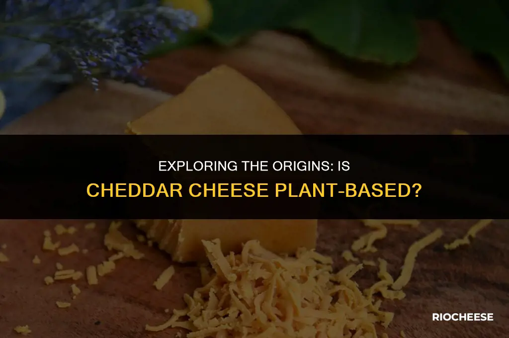 is cheddar cheese plant based