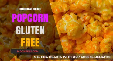 Delicious and Safe: Is Cheddar Cheese Popcorn Gluten-Free?