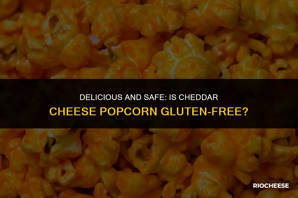 is cheddar cheese popcorn gluten free