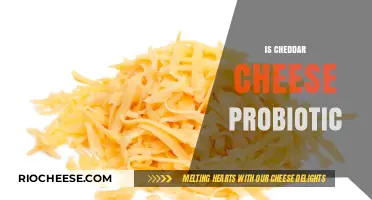 Unlocking the Health Benefits: Is Cheddar Cheese a Probiotic Powerhouse?