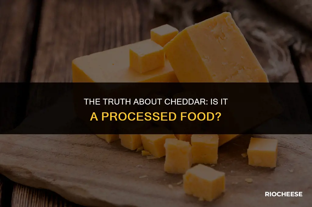 is cheddar cheese processed food
