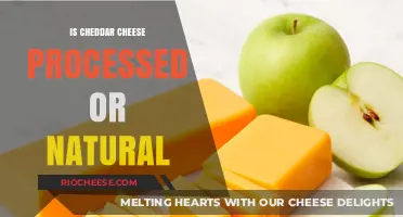 The Truth About Cheddar: Natural or Processed?