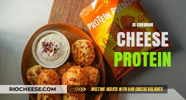 The Protein Power of Cheddar Cheese: A Nutritional Breakdown