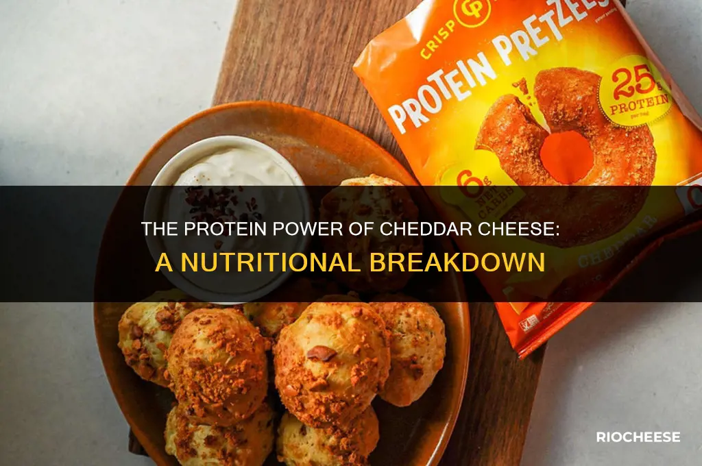 is cheddar cheese protein