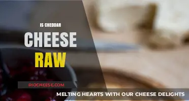 Exploring the Origins: Is Cheddar Cheese Truly Raw?