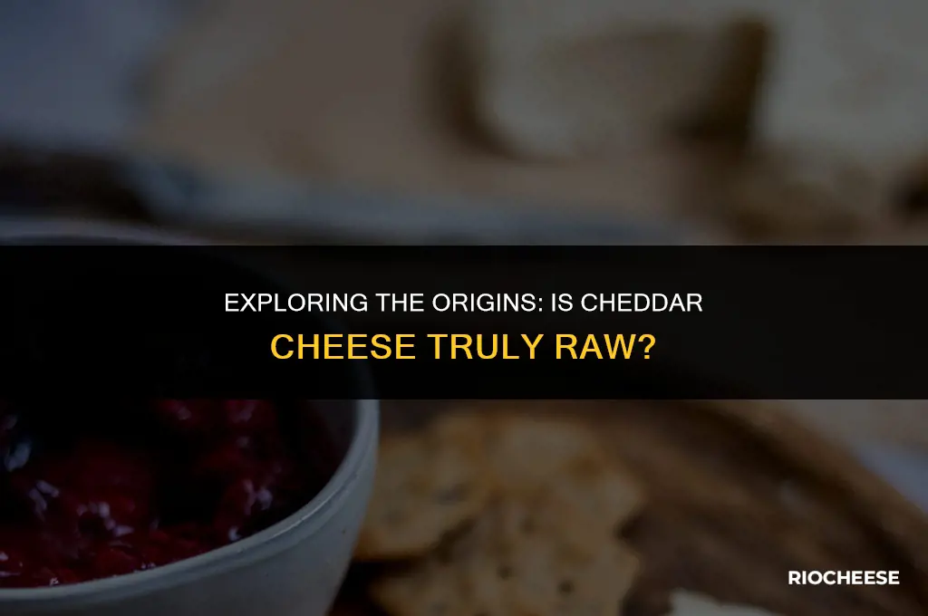 is cheddar cheese raw