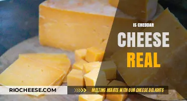 Unraveling the Mystery: Is Cheddar Cheese Real or Fake?