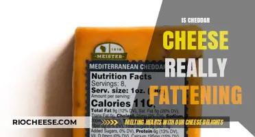 The Truth About Cheddar Cheese: Fattening or Not?