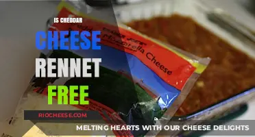 Exploring Dairy Alternatives: Is Cheddar Cheese Rennet-Free?