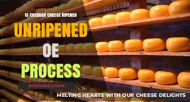 From Mild to Sharp: Understanding the Ripening Process of Cheddar Cheese