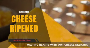The Aging Process of Cheddar Cheese: Ripened to Perfection