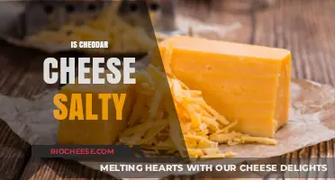 Unraveling the Flavor Mystery: Is Cheddar Cheese Salty?