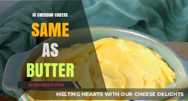 Unraveling the Dairy Dilemma: Cheddar Cheese vs. Butter