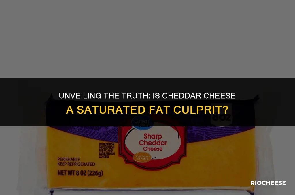 is cheddar cheese saturated fat