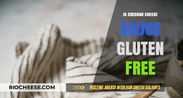 Deliciously Safe: Exploring the Gluten-Free Status of Cheddar Cheese Sauce