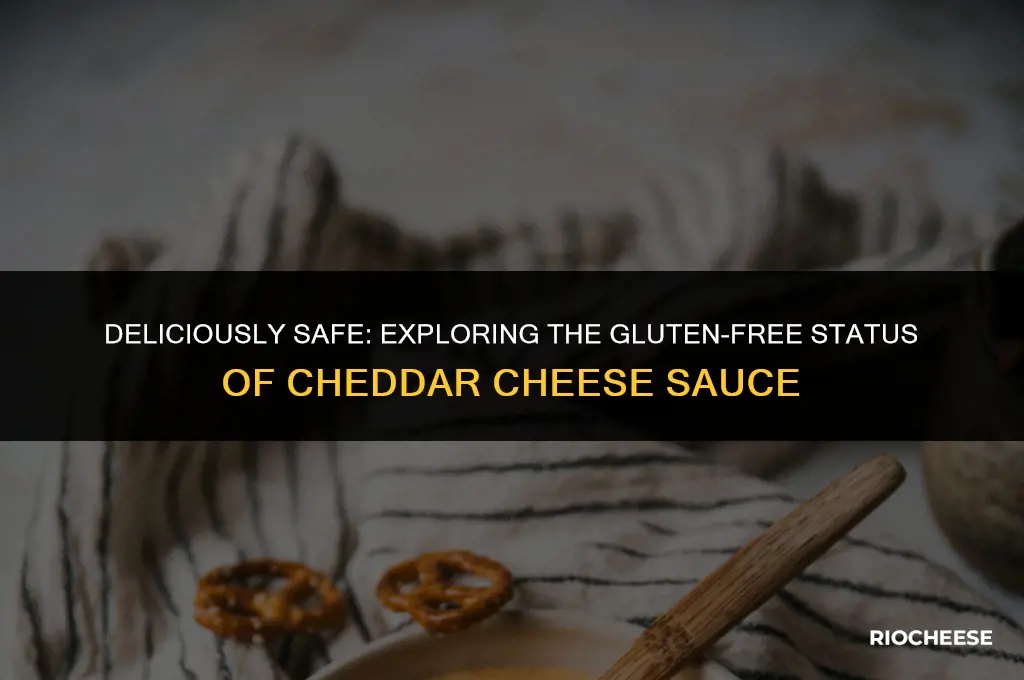 is cheddar cheese sauce gluten free