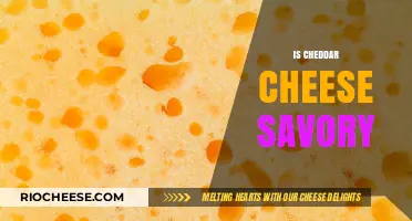 Exploring the Rich Savory Notes of Cheddar Cheese