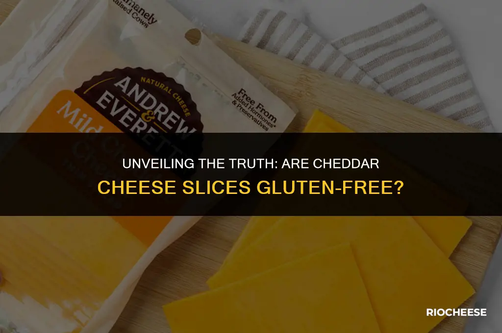 is cheddar cheese slices gluten free