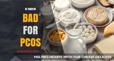 Unraveling the Cheese Conundrum: PCOS and Dairy Dilemma