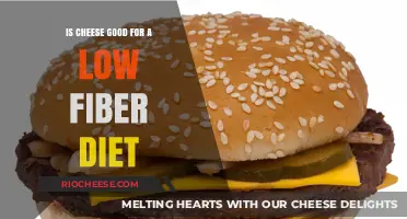 Exploring the Role of Cheese in a Low-Fiber Diet: A Nutritional Guide