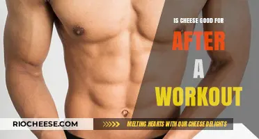 Fuel Your Recovery: The Surprising Benefits of Cheese Post-Workout