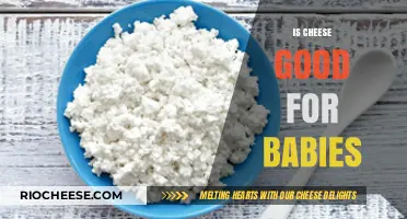 Nutritional Benefits of Cheese for Babies: A Comprehensive Guide